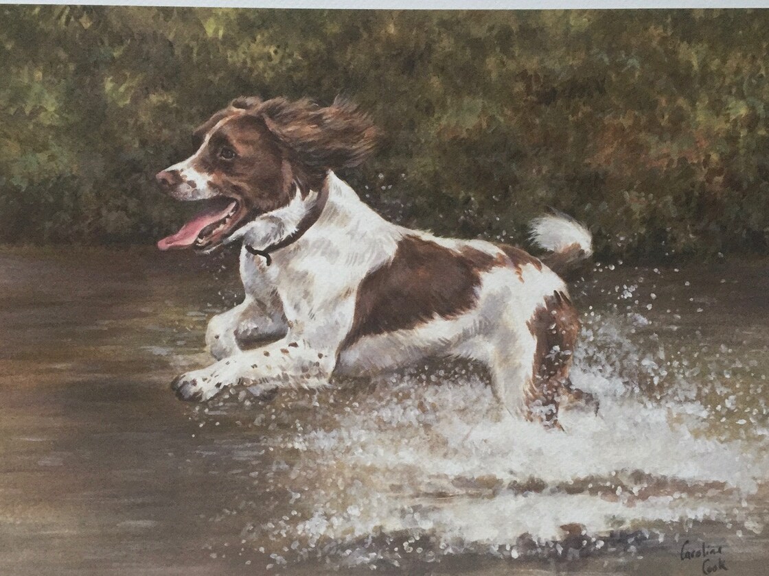 View Greeting Card by CarolineCookGallery on Etsy