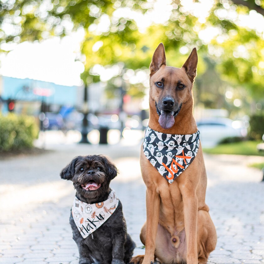 Wag Swag Co by WagSwagCo on Etsy