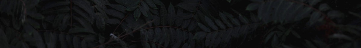 joartanddesigns Etsy Canada