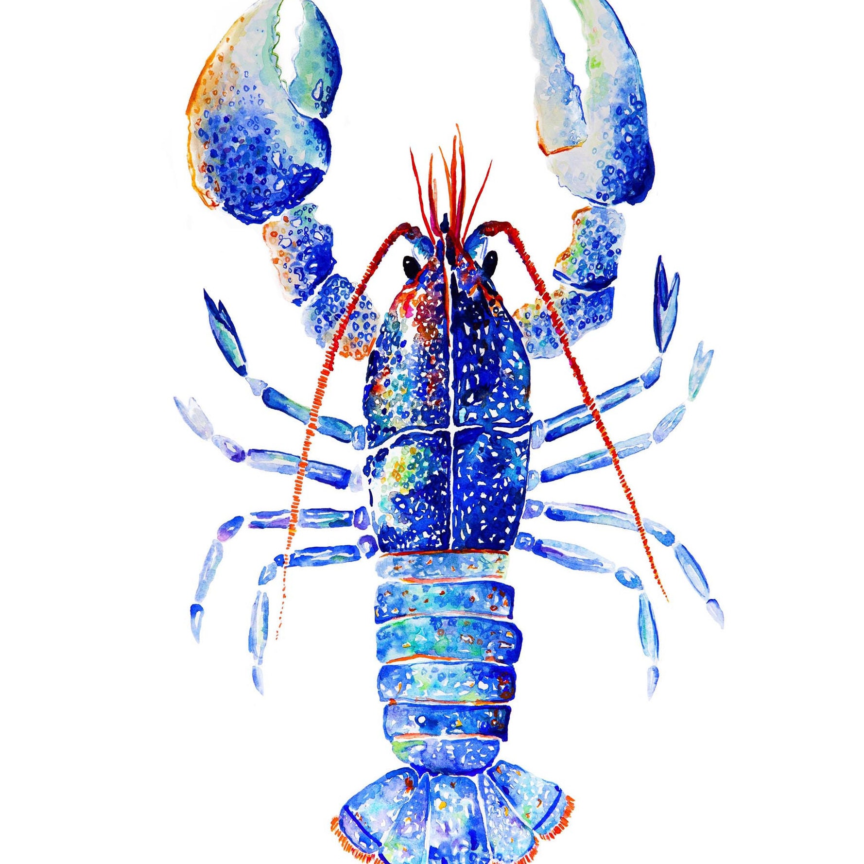 Lobster Watercolor Print. Lobster Art Print. Blue Lobster. Lobster  Illustration. Nautical Print. Coastal Art. Coastal Print.