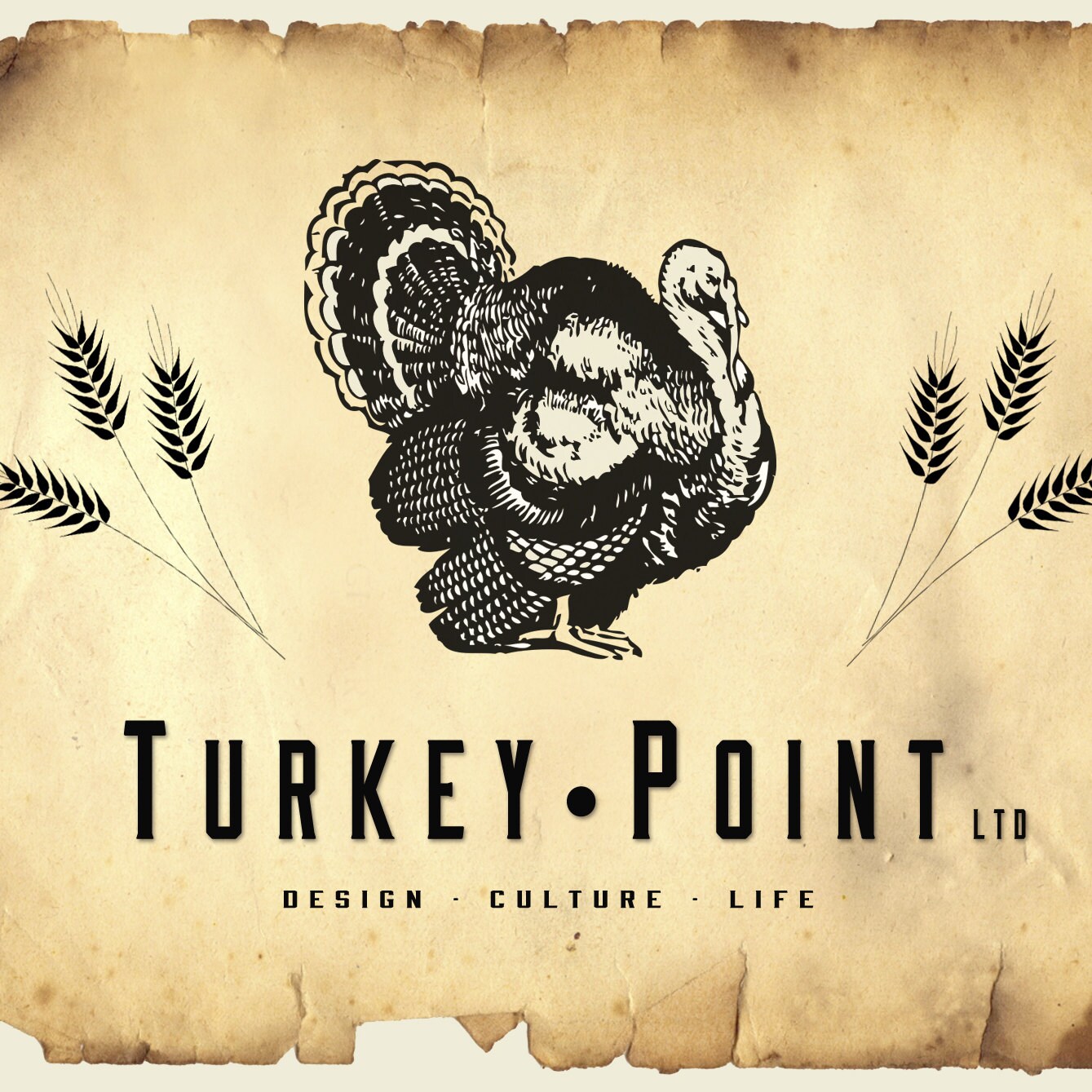 TurkeyPointLtd Etsy