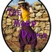 TheMaddDapper