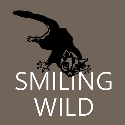 SmilingWild store logo