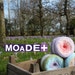 Owner of <a href='https://www.etsy.com/shop/Moadeplus?ref=l2-about-shopname' class='wt-text-link'>Moadeplus</a>