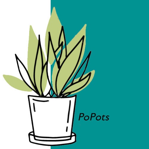 PoPots - Etsy