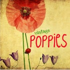 VintagePoppiesShop