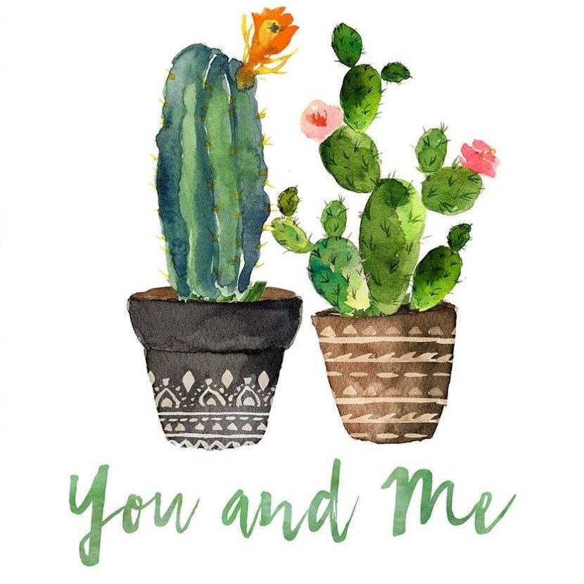 Рисунок к рассказу бабушкин кактус