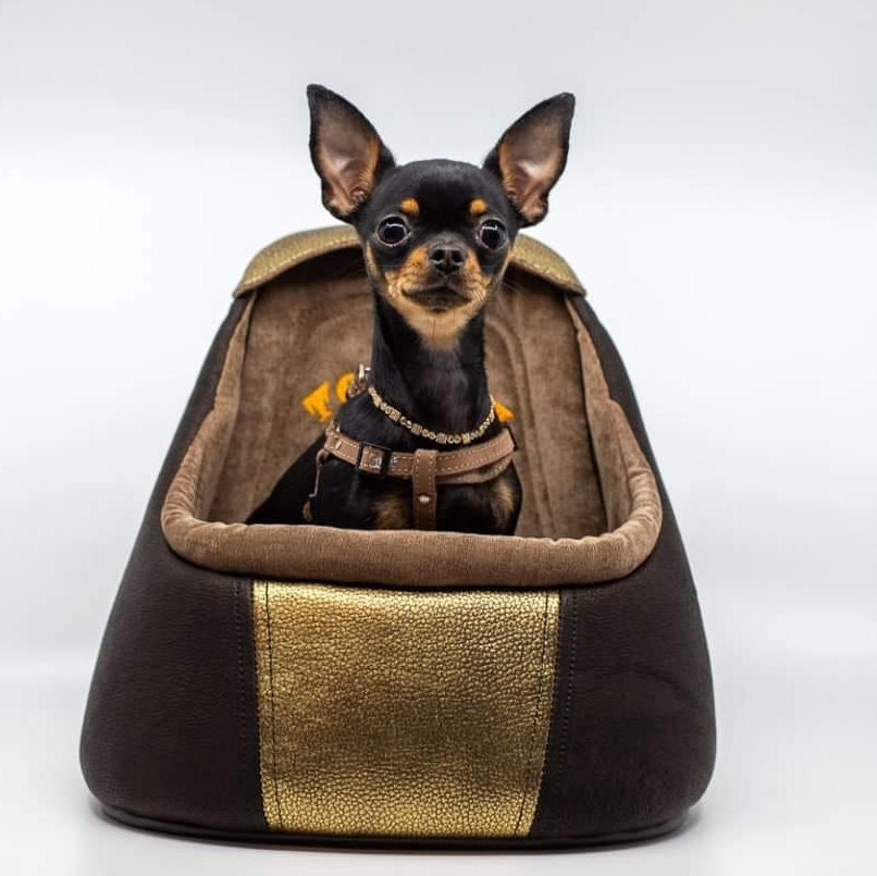 Knuffliger Leder-Look Autositz für Hund, Katze oder Haustier inkl. Flexgurt  kompatibel für VW UP