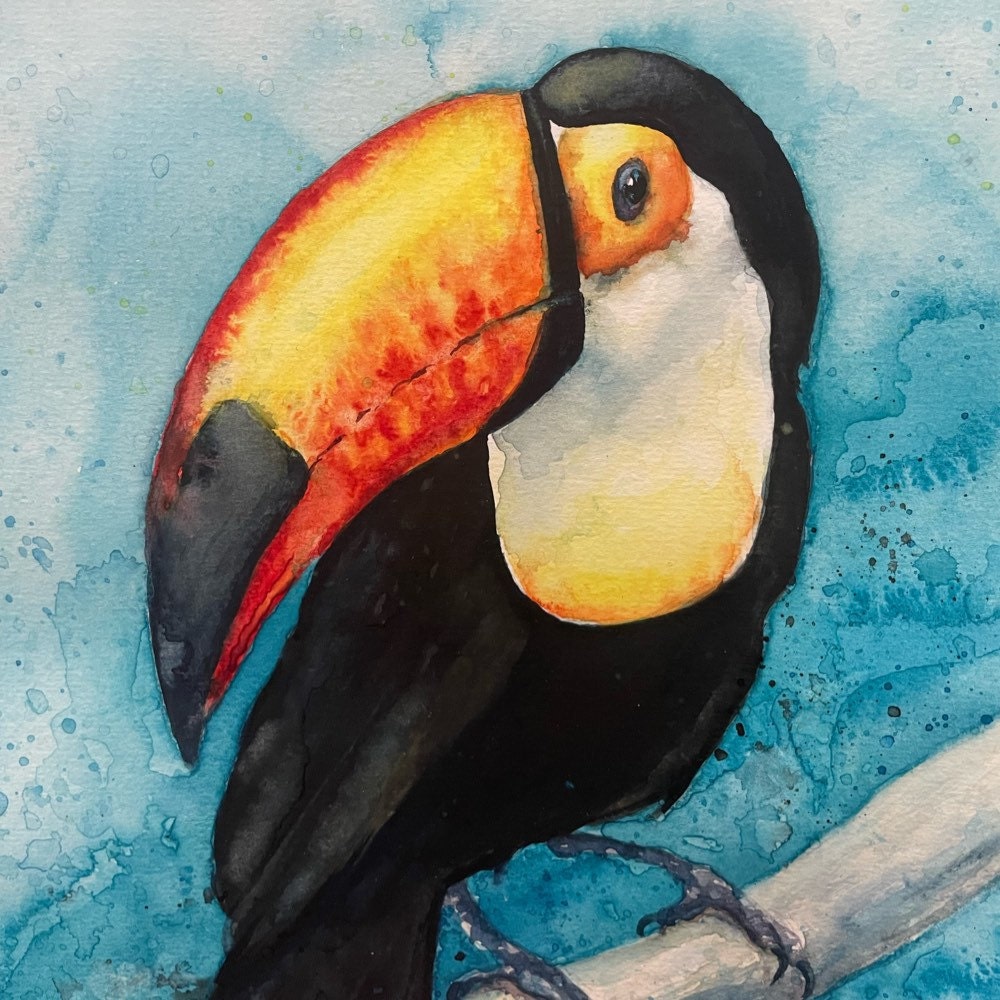 Toucan Watercolour Giclee Print Fine Art A3 A4 - Etsy Ireland