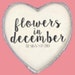 FlowersinDecemberDS