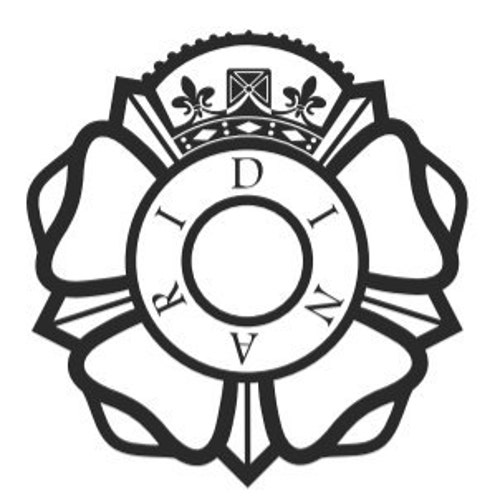 Dinaristore store logo