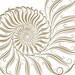 TheSeashoreShoppe