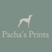 Pachas Prints