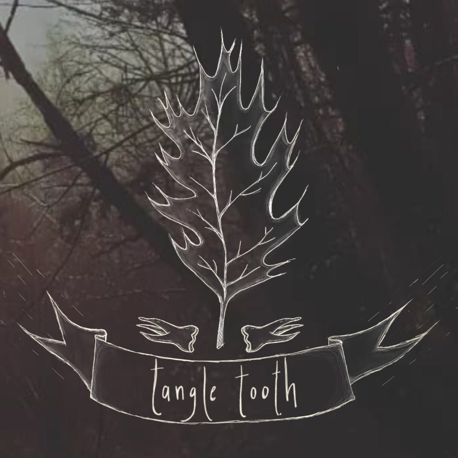 tangletooth - Etsy