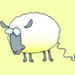 BAHKnitting