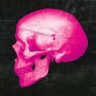 PinkSkullCA