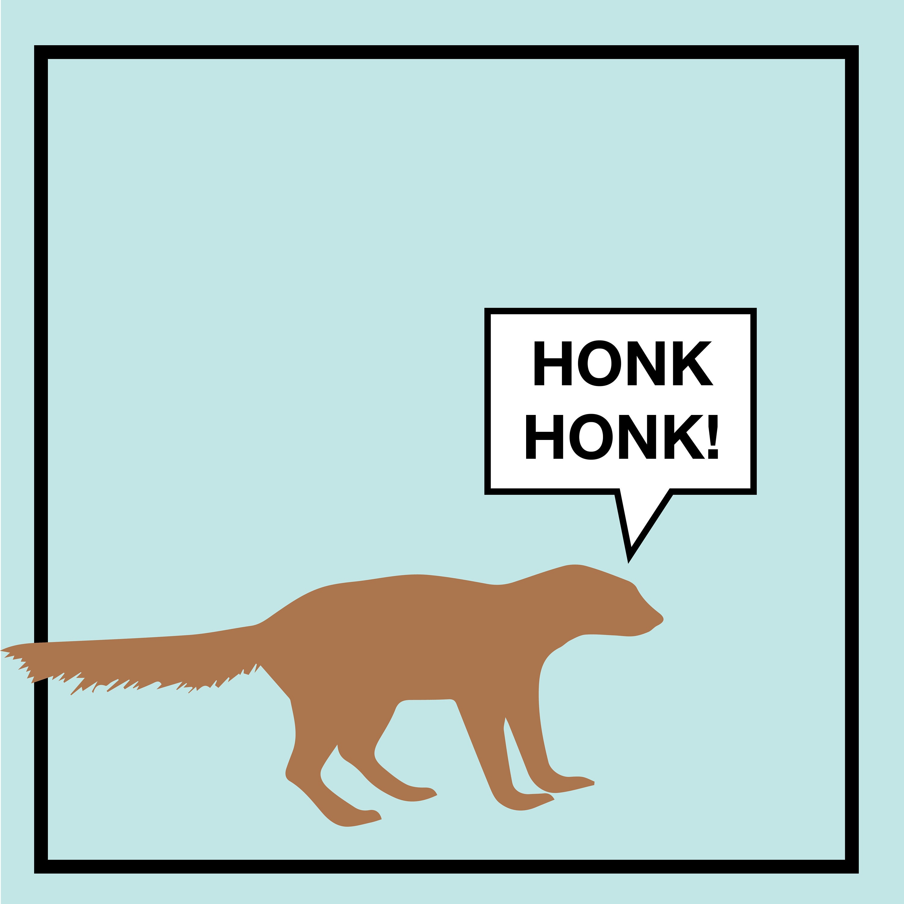 Lpotl Gef The Talking Mongoose Honk Honk Last Etsy