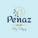 Team Penaz