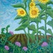 Martha Sperry