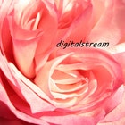 digitalstream