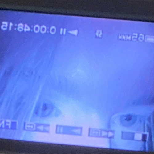Paranoida store logo