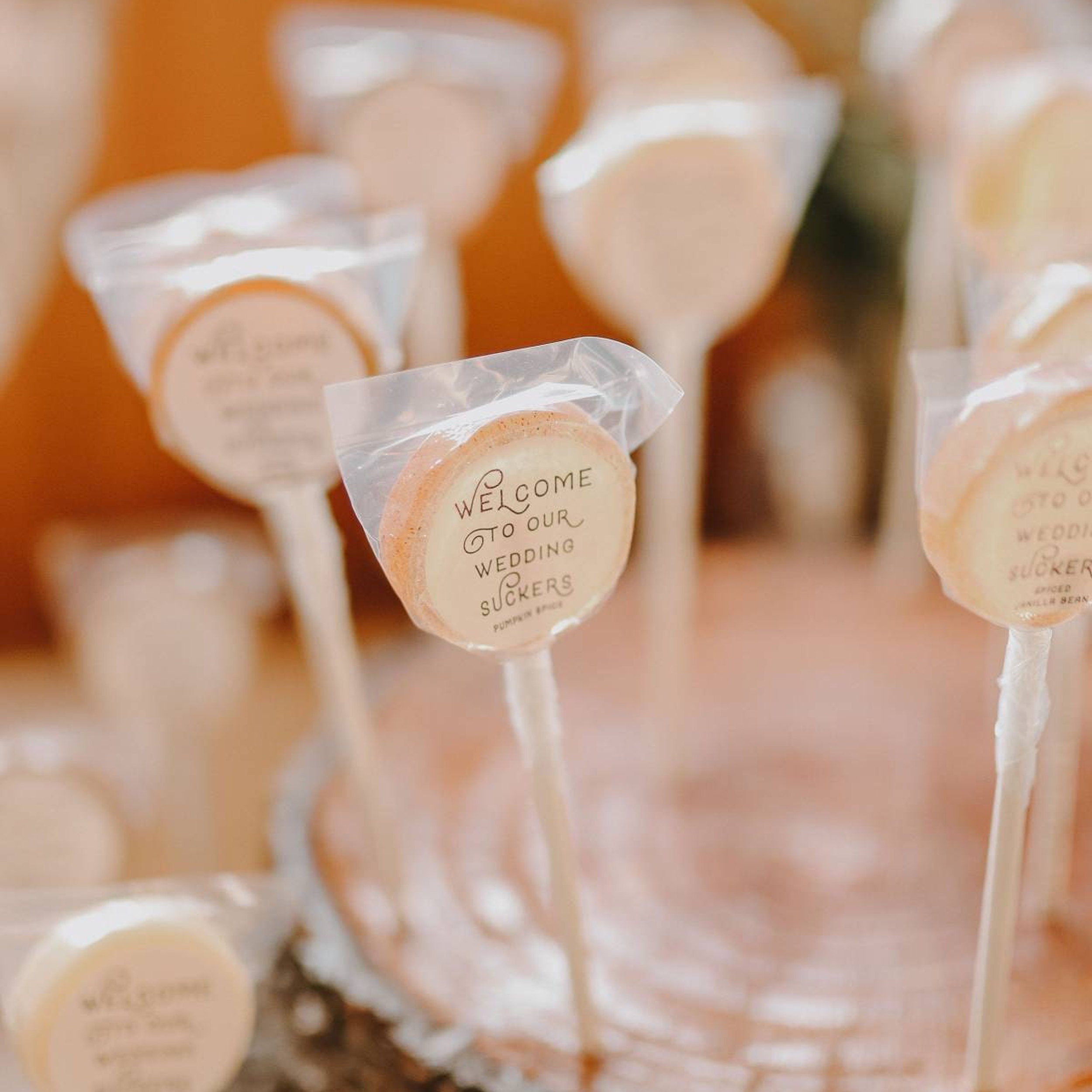 Wedding Favors for Guest in Bulk 10 Lollipops Salty Dog Lollipops Favors for Guest Spring Wedding Favors