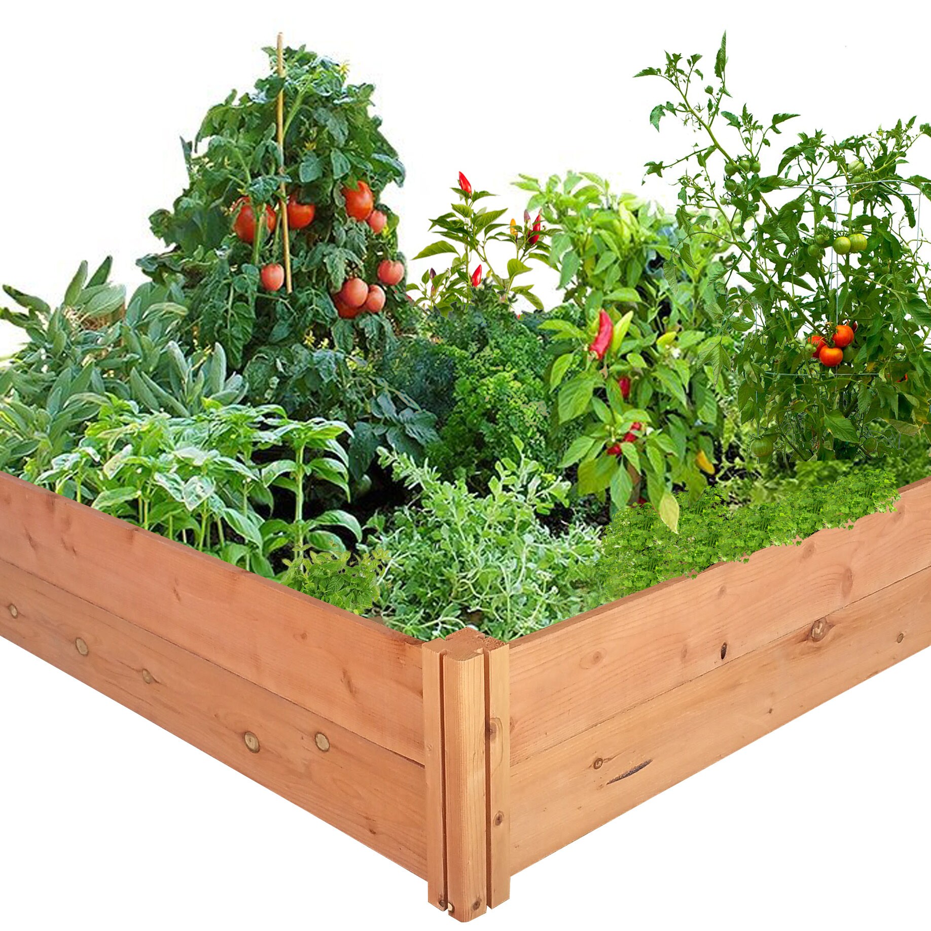 Plant flowerpot