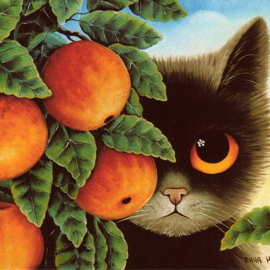 Коты Анны Холлерер
