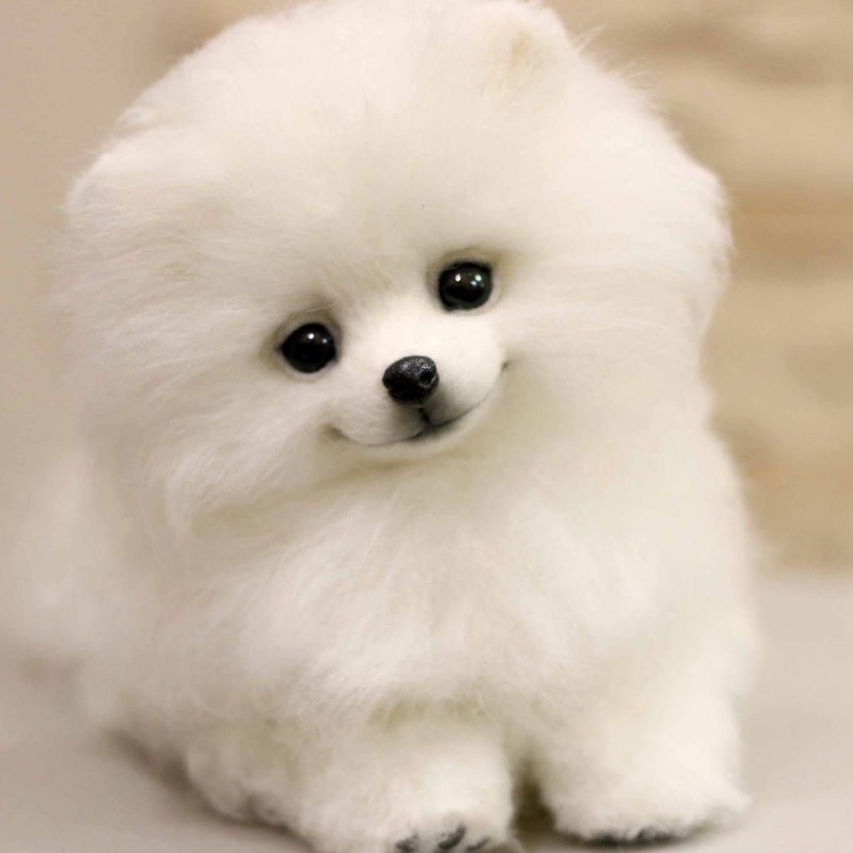 Puppy Poodle Vivia Rtist Ooak Collectible Stuffed Dog Etsy