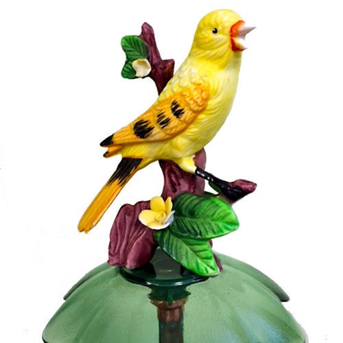 View HOUSE PLANTS by ArtandtheGarden on Etsy