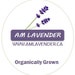 AM Lavender