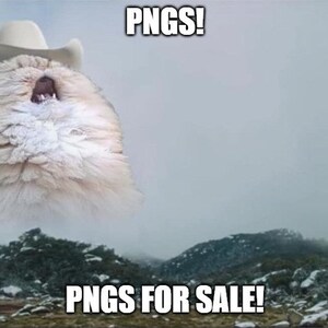 135 Modern Luxury Home Interior Instagram Backgrounds Colors: Gold