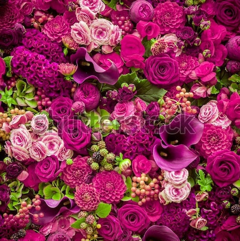 Oasis® Ideal Round Floral Wet Foam Cylinders Fresh Flowers Sponge Crafts  Florist