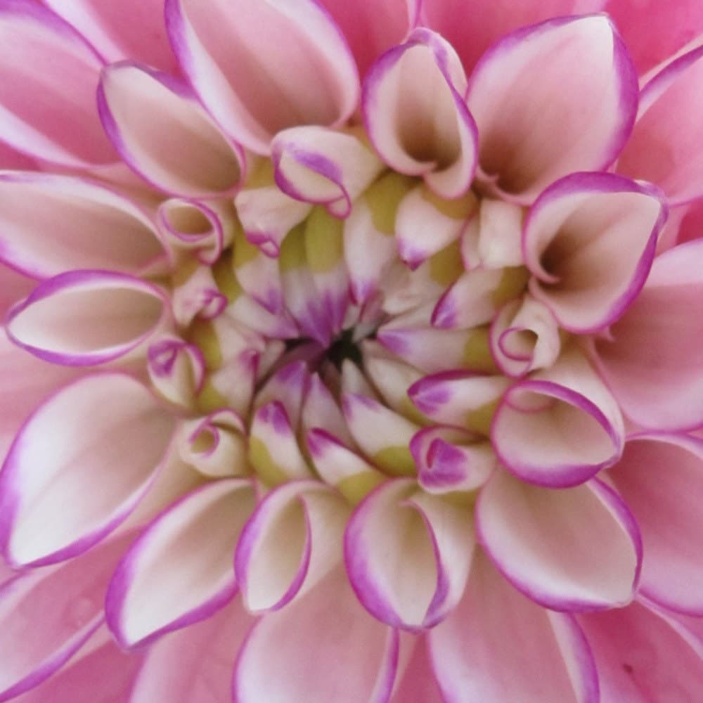 Handmade goodies using vintage sheets and by RelovedPreloved