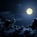 MoonLadies