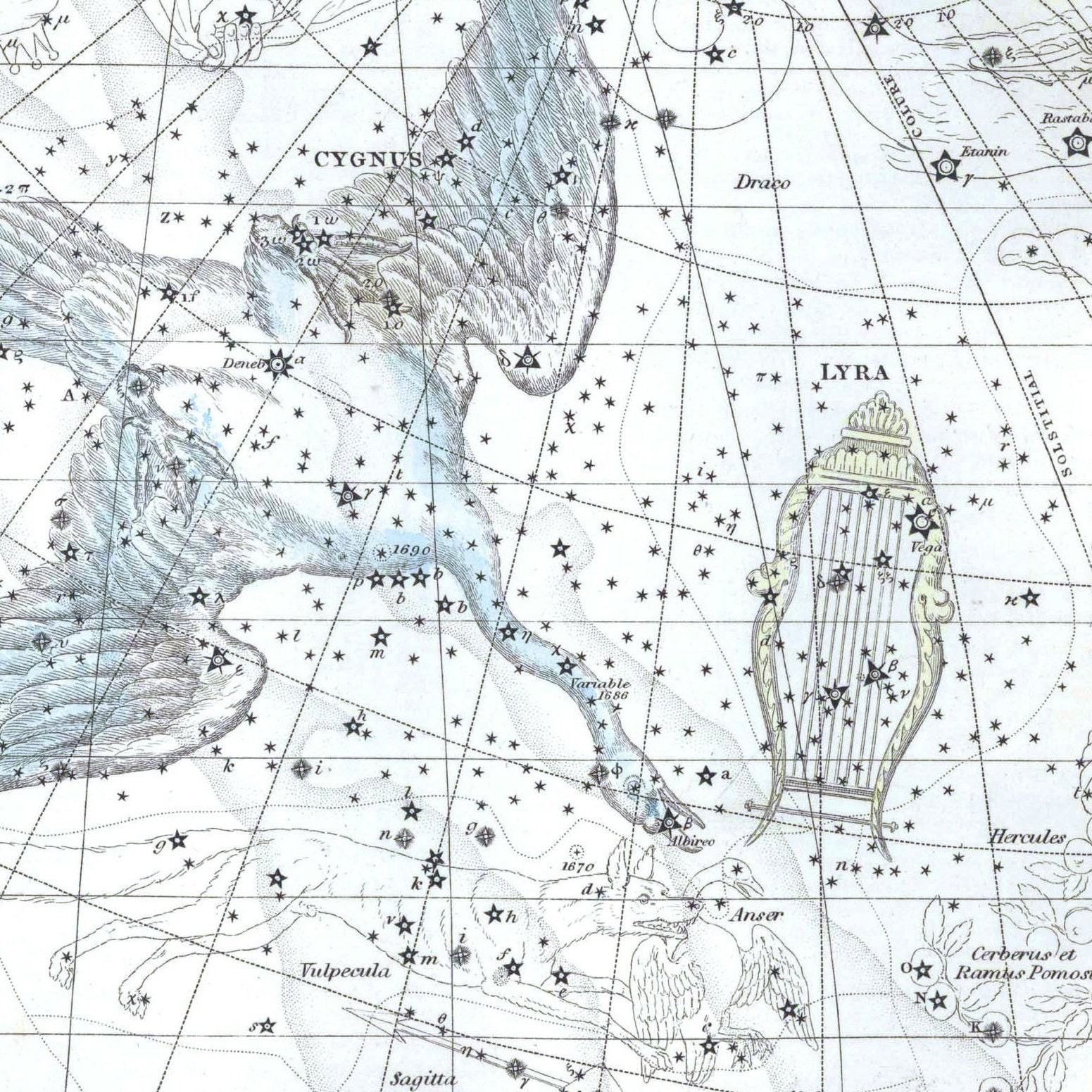 stars heavens cosmos plate celestial solar system. 1866 Antique astronomy comet shapes print original kinds comets engraving