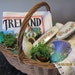 Dusk Pattern designed by Jo Gorman Vintage Portmeirion Butter Pat Dishes for 4 people C.