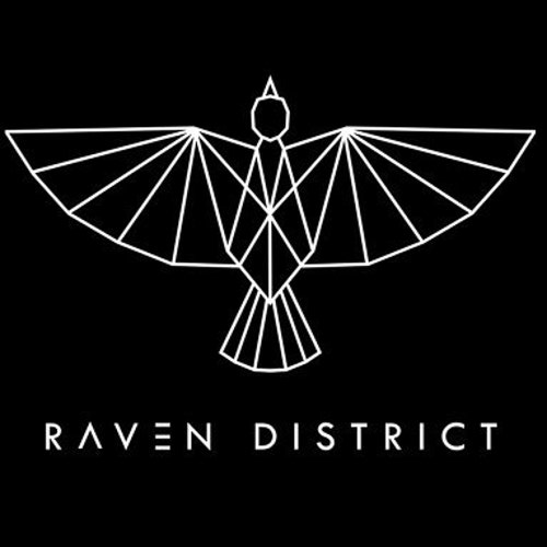 RavenDistrict Etsy UK