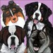 Bernese Mountain Dog Golden Retriever Christmas Etsy Bernese Mountain Dog Golden Retriever Christmas Etsy