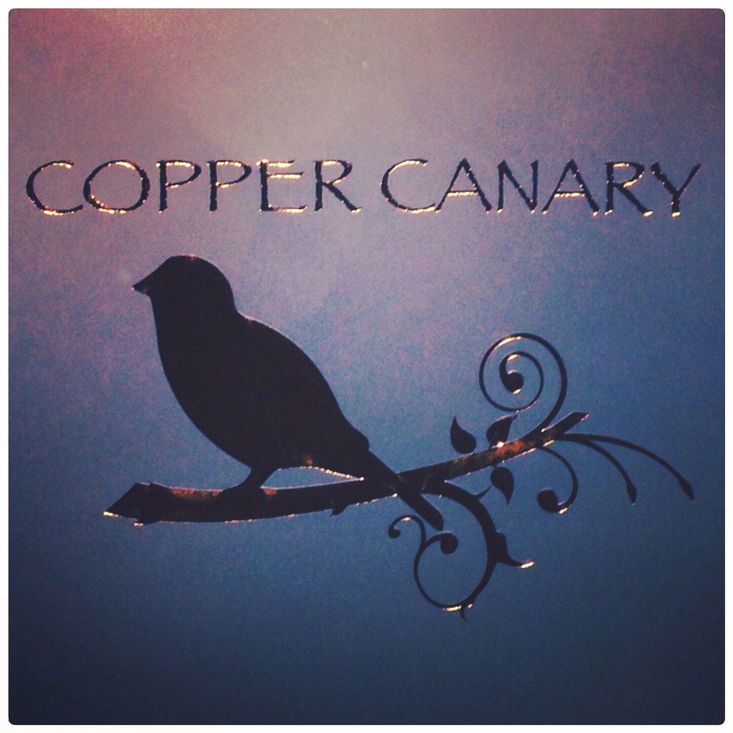 TheCopperCanary Etsy