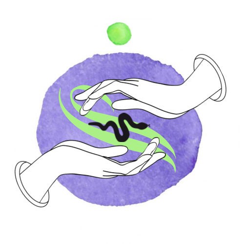 14+ 12 Meridians Chart Pdf