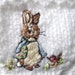 Inhaber von <a href='https://www.etsy.com/ch/shop/rabbitwhiskers?ref=l2-about-shopname' class='wt-text-link'>rabbitwhiskers</a>