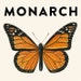 Will Monarch