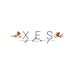 XesShop store logo