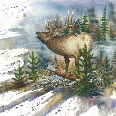 Ruby Gem print of original watercolor by Dave Bartholet