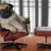 Owner of <a href='https://www.etsy.com/shop/modPug?ref=l2-about-shopname' class='wt-text-link'>modPug</a>