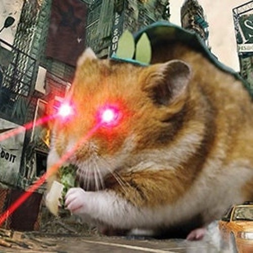 LaserHamster store logo