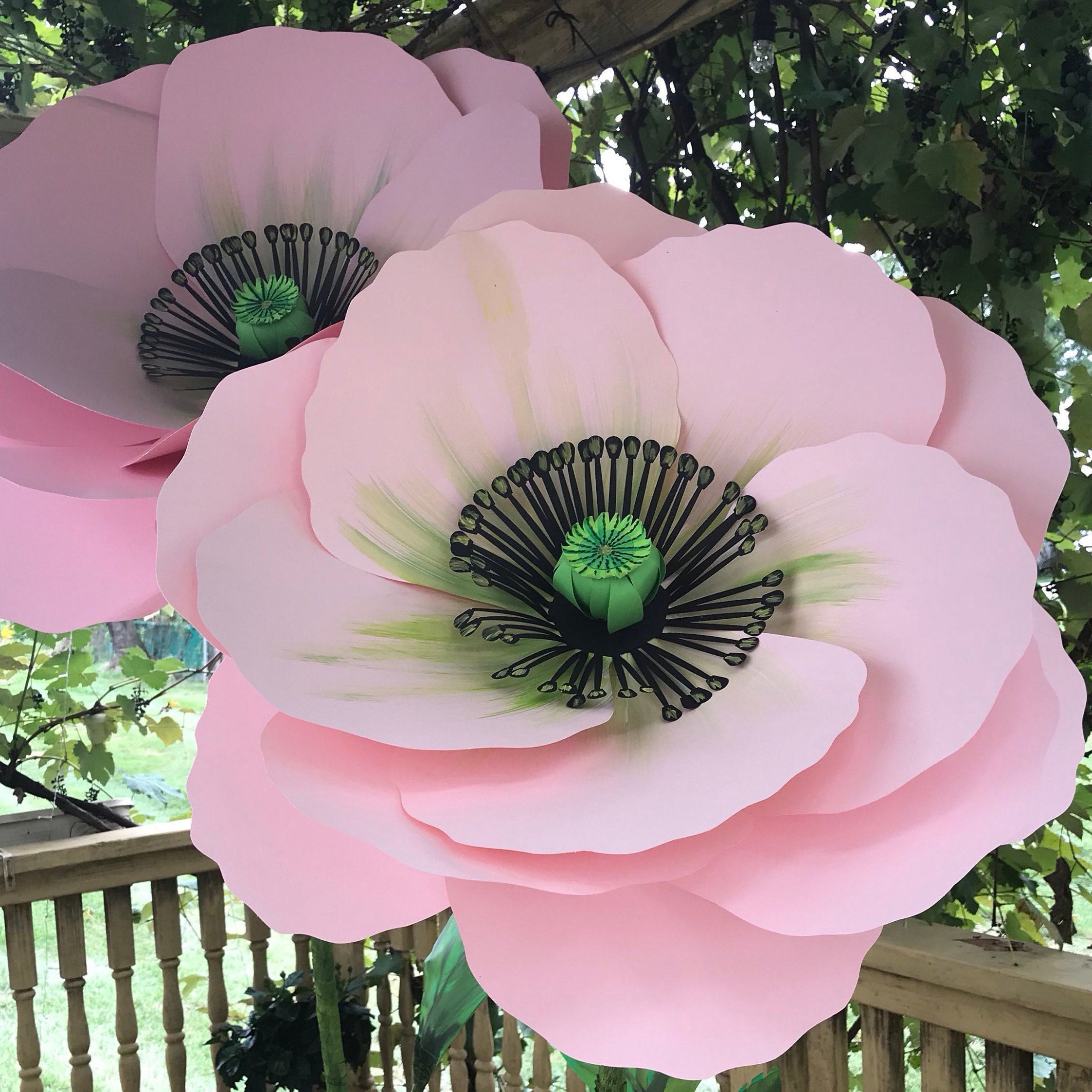 Candy Tree Baltimore