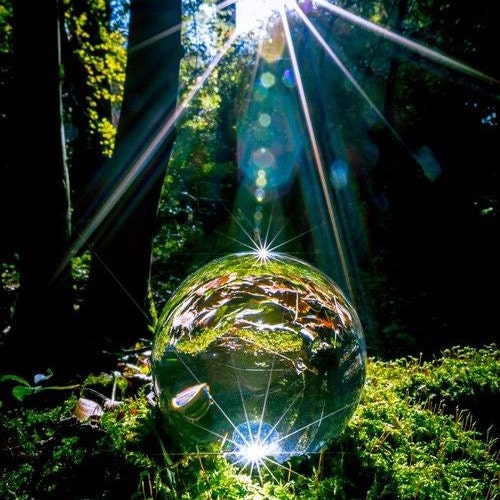 Lichtwurzeln Etsy.de