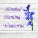 Bluebell Bunting